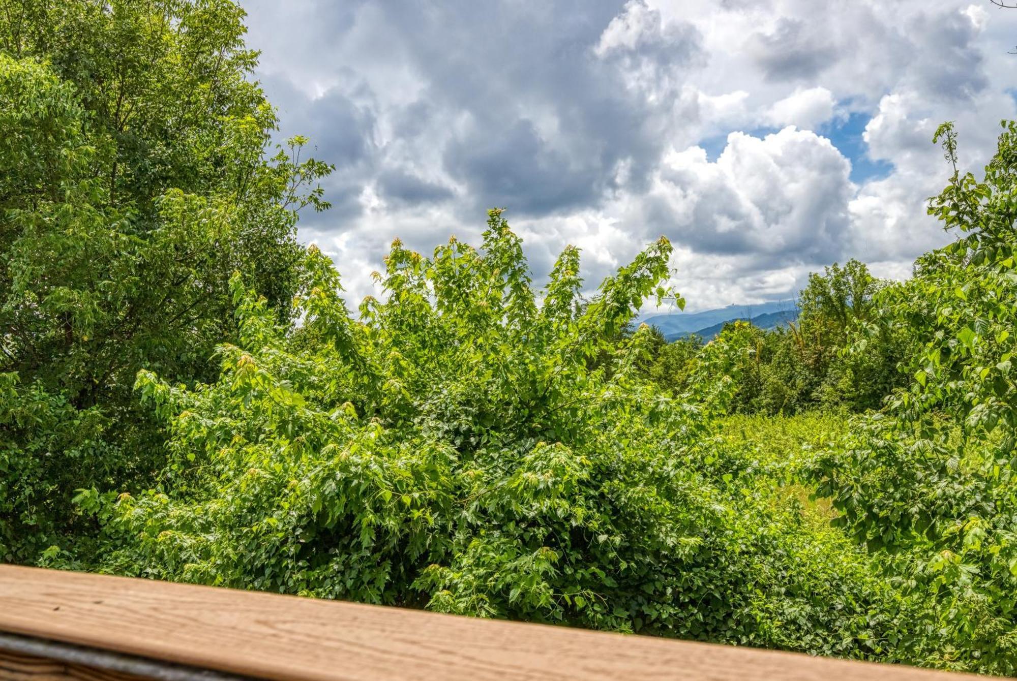 Apple Valley Hideaway, 1089 Of Free Attraction Tickets For Each Paid Day, Dollywood And More! Pigeon Forge Exterior foto