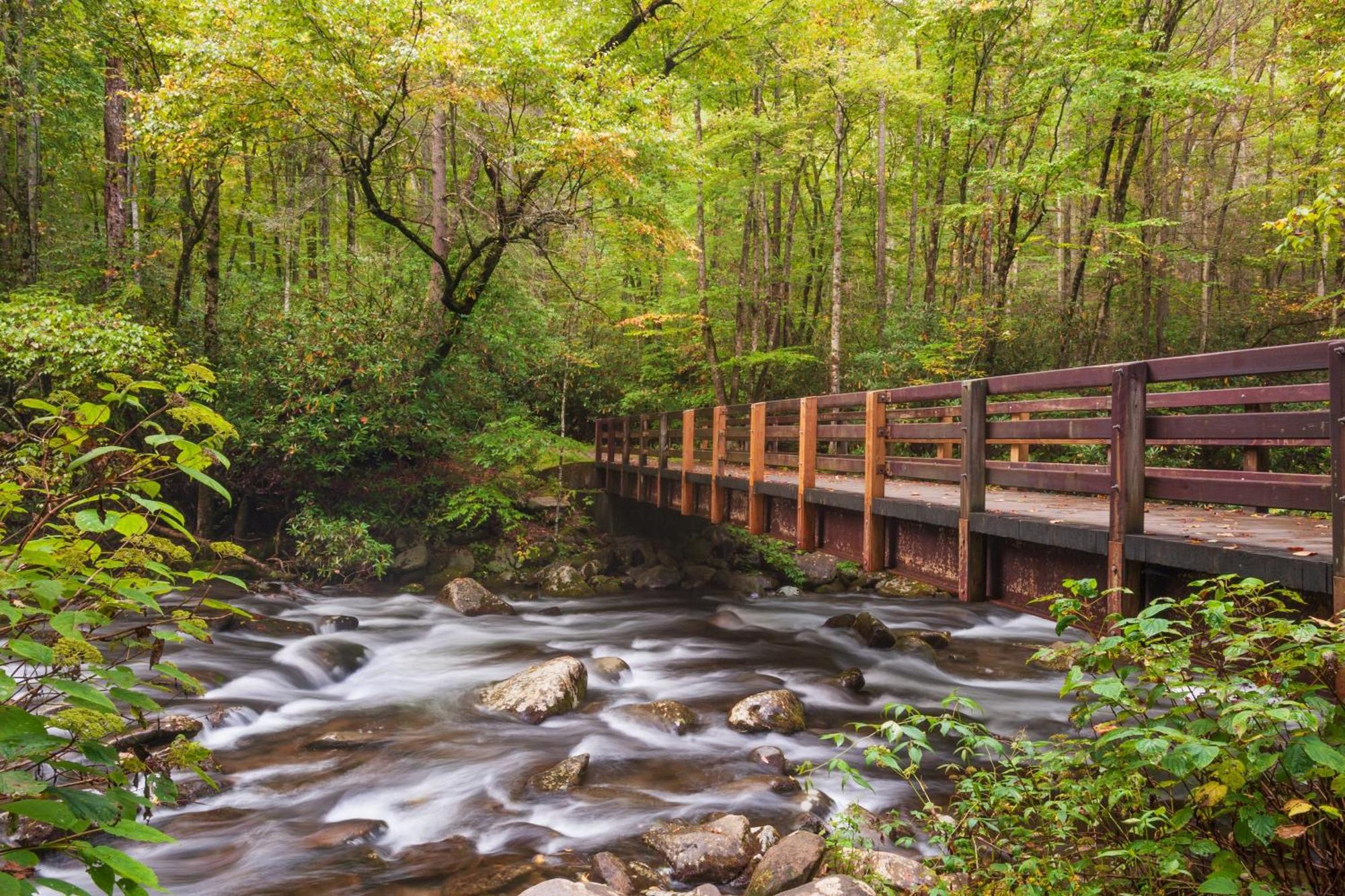 Apple Valley Hideaway, 1089 Of Free Attraction Tickets For Each Paid Day, Dollywood And More! Pigeon Forge Exterior foto